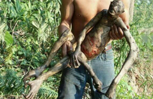 Üçüncü bir tür daha geliyor görenler tüm ayrıntılarıyla anlattı