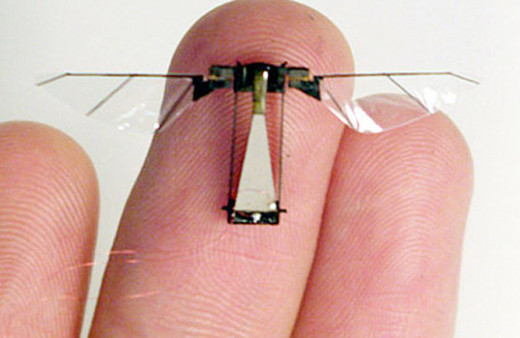 Kürdan ağırlığında robot böcek üretildi