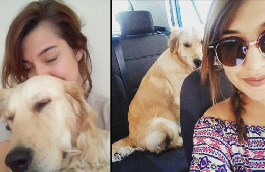 Ayrılan sevgililer köpek için mahkemelik oldu