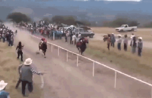 Görenler dehşete düştü! Yarış atının feci sonu...