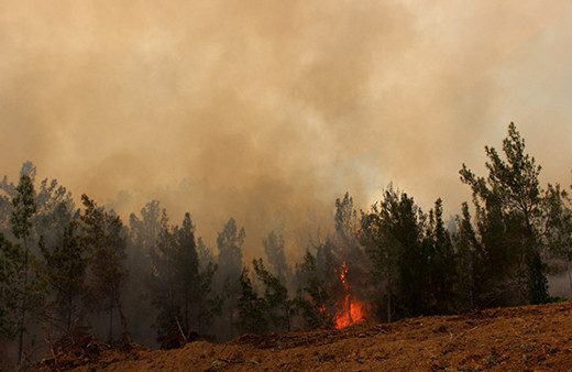 İki gün oldu: Korkunç yangın söndürülemiyor!