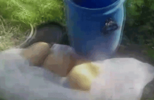 Diyarbakır'da PKK'ya ağır darbe! Tam 1 ton...