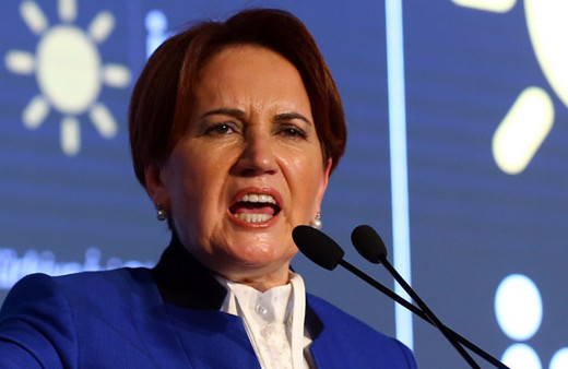 Meral Akşener'den Yusuf Halaçoğlu açıklaması