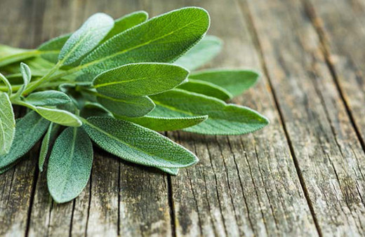 Hafızayı güçlendiren 6 muhteşem yiyecek