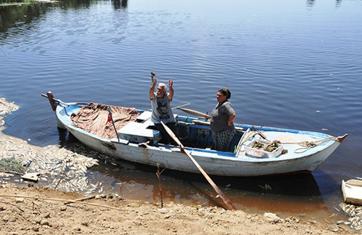 Korkutan olay: Milyonlarca balık öldü, martılar telef oldu!