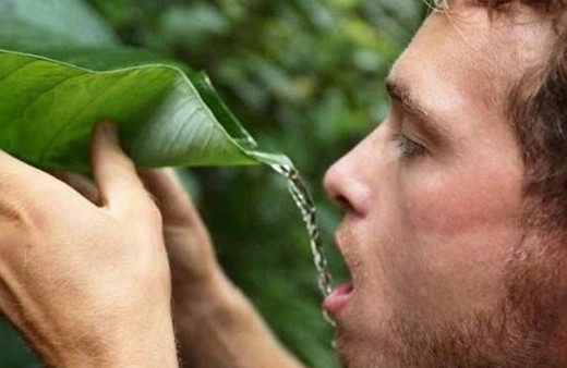 Bu bilgiler sizi çok şaşırtacak