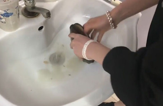 Devasa istiridyenin içinden çıkanları görenleri şoke etti! 