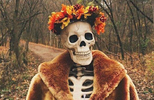 Instagram'ın sıradışı fenomenleri