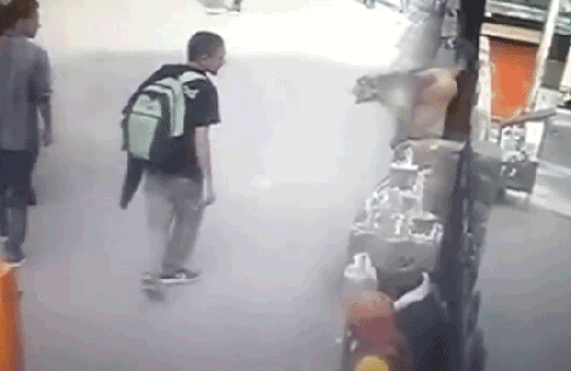 Bölgenin kabusu oldular! Yaralananlar var