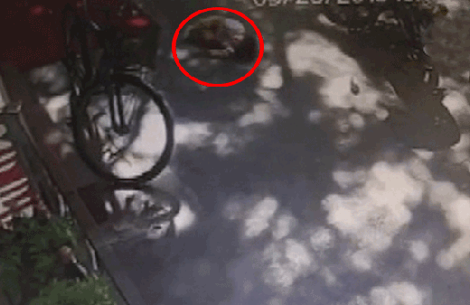 Dehşete düşüren an! Bebek 4. kattan böyle düştü