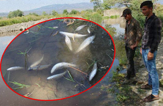 Soruşturma başlatıldı! Önce su kırmızı renkte aktı sonra da...