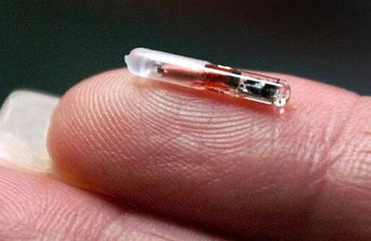 Öğrendiğinize ufkunuzu açacak 15 muhteşem bilgi