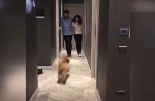 Buse Varol'un görüntüsü sosyal medyayı karıştırdı!