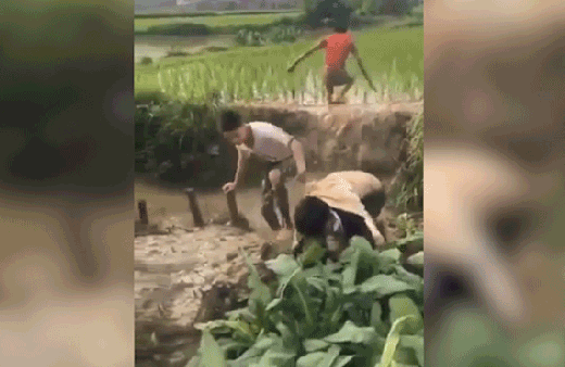 Çamurlu göletin başında 3 avanak! 