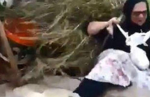 Sırtında yüküyle düştü, sosyal medyayı salladı