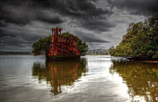 106 yıllık yüzen orman görenleri kendine hayran bırakıyor