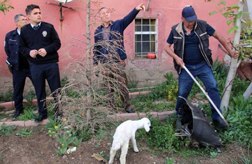 Hamam  patlayınca göktaşı yağıyor sandılar