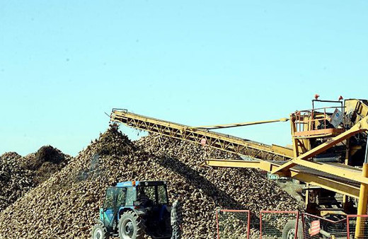 Danıştay'dan şeker fabrikası kararı!