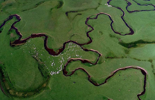 Ordu'da bir doğa harikası: Perşembe Yaylası