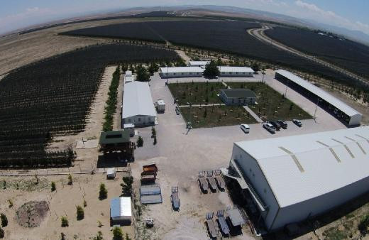 Niğde'deki şu bahçeye bakın! Bir ilden diğerine uzanıyor