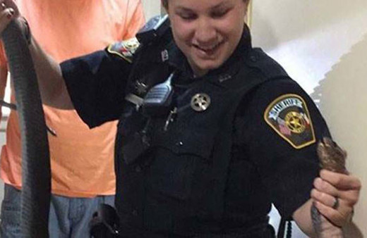 Çıplak elle yakaladı! Tam iki metre boyunda