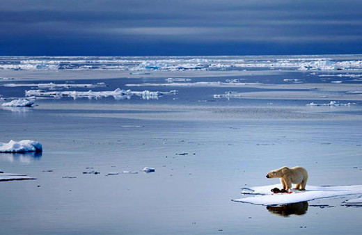 Buzul erimeleri alarm veriyor 