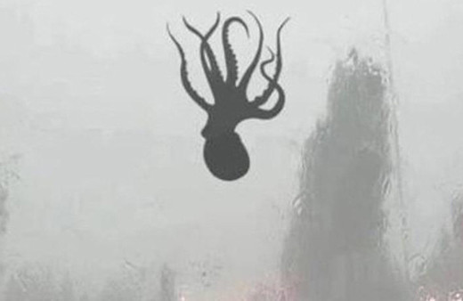 Korku filmi gibi… Gökyüzünden ahtapot yağdı