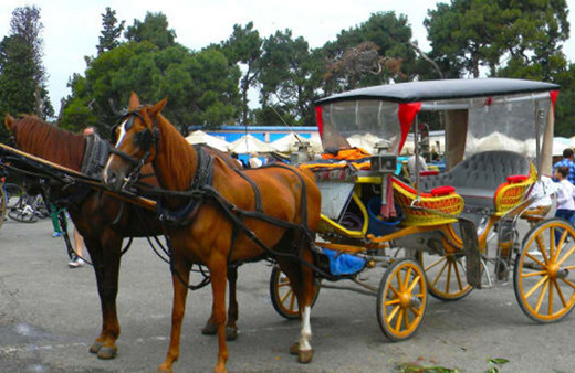 Faytoncular: Biz atlarımızı vermeyi düşünmüyoruz