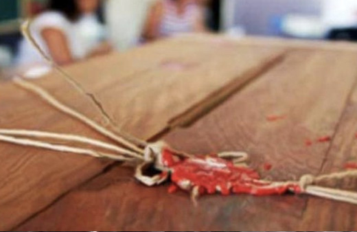 25 Haziran öğretmenlere tatil mi-kaç gün tatil olacak?