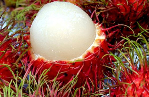 Mucizenin adı o! Sperm kalitesini ve cinsel gücü arttırıyor