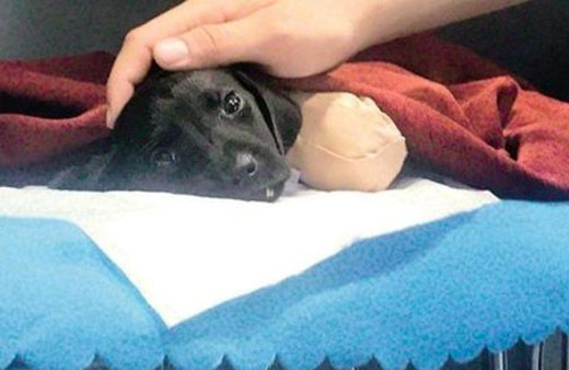 Tutuklanan şüphelinin eşi isyan etti: Gerçek cani saklanıyor