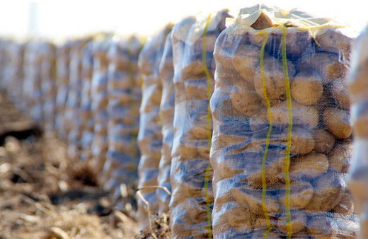 Patates fiyatları neden arttı? Meğer bu yüzdenmiş