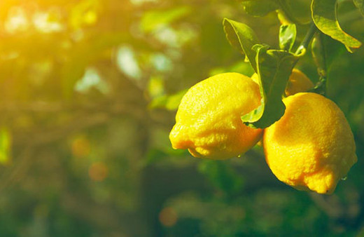 Hayrete düşüren doğum kontrol yöntemleri