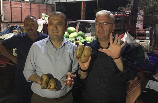 CHP'nin milletvekili adayı Aygun: Yeni bir hal yasası gerekli