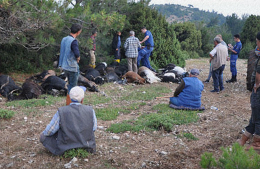 Dünyası başına yıkıldı! 'Allah'ım hangisine koşayım'