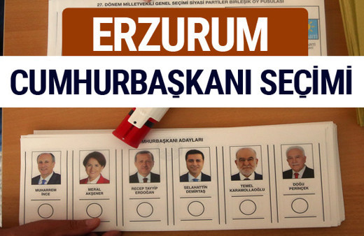 Erzurum Cumhurbaşkanları oy oranları YSK Sandık sonuçları 