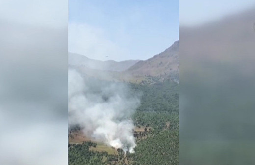 Bitlis'te 10 terörist etkisiz hale getirildi