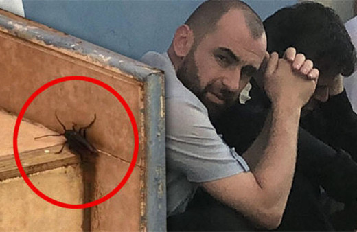 Böcekler istila etti: Korkunç olay ortaya çıktı!