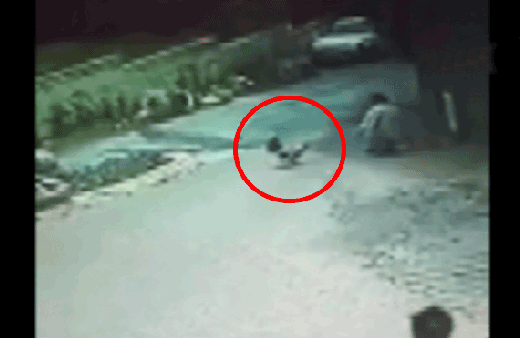 Telefonla konuşurken hayatının şokunu yaşadı!