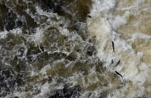 Bu görüntüler Van'dan: Nefes kesen yolculuk!