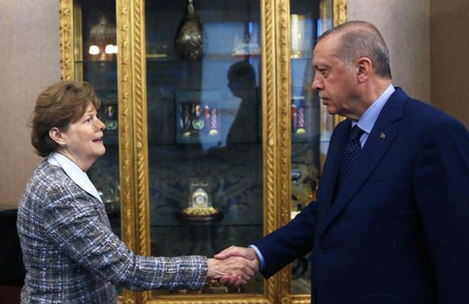 Erdoğan ABD'li senatörleri kabul etti dikkat çeken detay