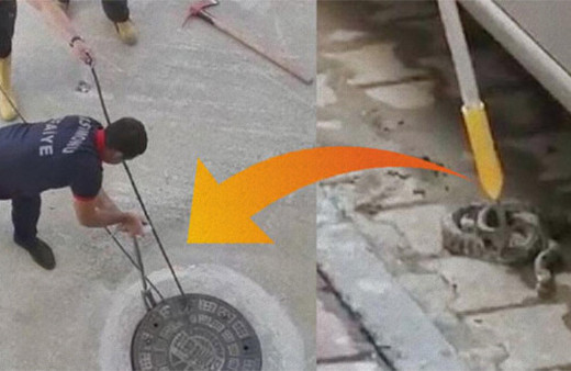 Korkutan söylenti: Kentte her yerden yılan fışkırıyor!