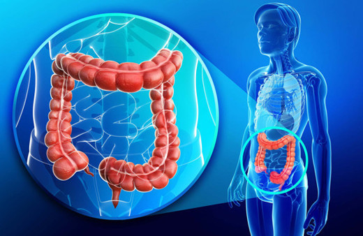 Bağırsak sağlığı için mutlaka tüketilmesi gereken 5 besin