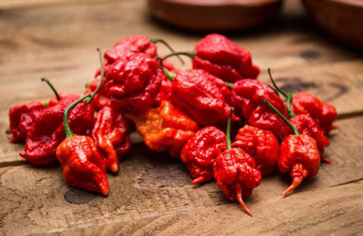 Dünyanın en acı biberini yedi hastanelik oldu