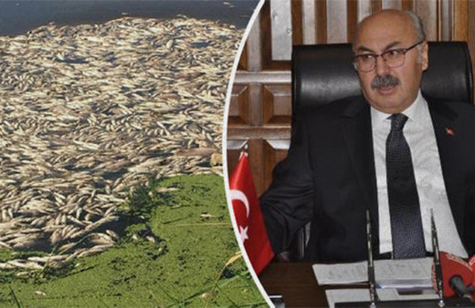 Bu görüntüler herkesi korkutmuştu: Nedeni açıklandı!