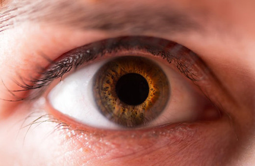 Okuma oranı arttıkça miyop oranı da artıyor