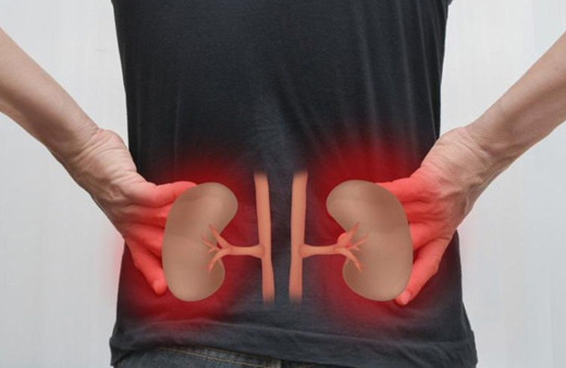 Böbrek sağlığı hakkında doğru bilinen 8 yanlış! Çok su içmek aslında...