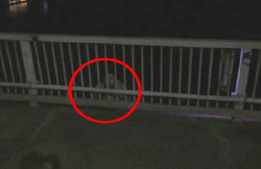 FSM'de intihar girişimi! Yürekler ağza geldi