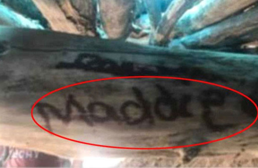 Günün en iğrenç haberi! Görenler dehşete düştü