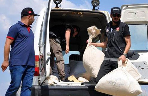 Uşak’ta ele geçirildi! Çuval çuval imha edildi